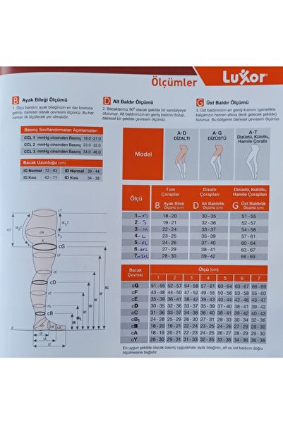 Luxor Women's Knee Length Closed Toe Standard Pressure Travel Socks