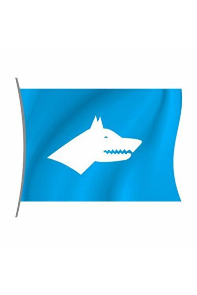 Rekbay Göktürk Bayrağı Yatay Model 150x225cm