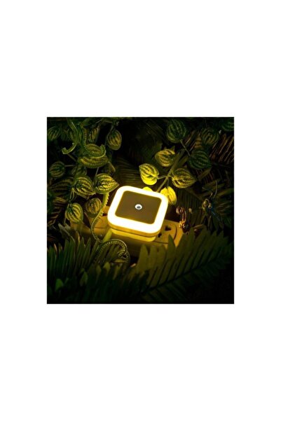 Panther Sensörlü Beyaz Gece Lambası