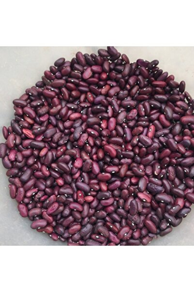 Karahasanoğlu Tarım Yerli Sırık Tokat Kızılı Fasulye Tohumu 100 Gr
