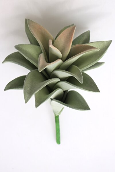 Yapay Çiçek Deposu Изкуствено цвете Голямо сукулентно Graptopetalum 25 cm