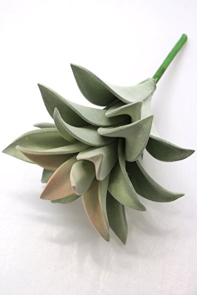 Yapay Çiçek Deposu Изкуствено цвете Голямо сукулентно Graptopetalum 25 cm