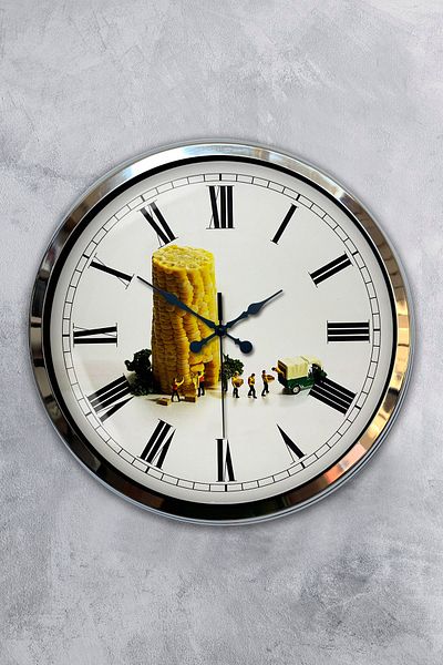Kasva Concept Gift 40 cm Chrome Metal Corn Wall Clock