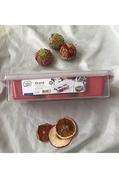 HOBBY LİFE Gree Home 3 Compartment Grand Deep Organized Box