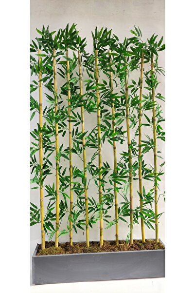 RUZGARCİCEK Rüzgar Yapay Çiçekçilik 170 Cm Bambu Seperatör