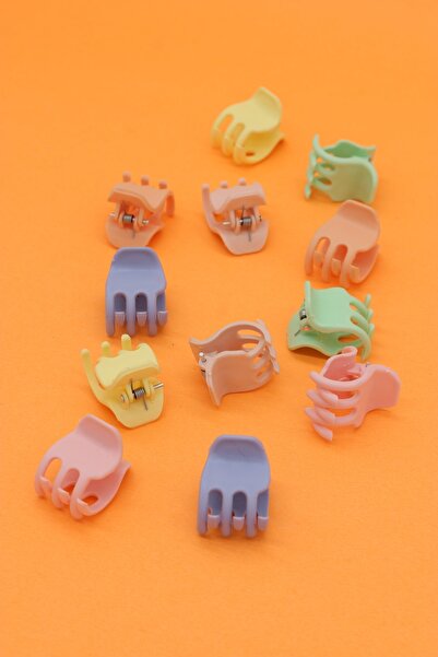 ALYESKA Pastelne kopče za kosu u 12 boja