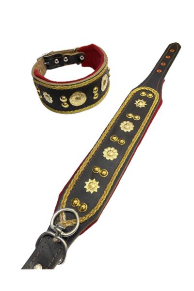 Sürmeli Tasma Yavru Kangal Köpek Tasması Deri 60 Cm Zilsiz Model