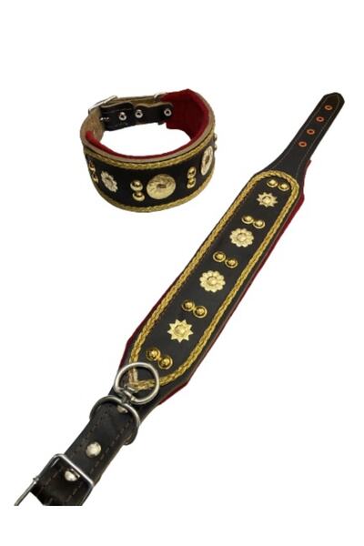 Sürmeli Tasma Yavru Kangal Köpek Tasması Deri 60 Cm Zilsiz Model