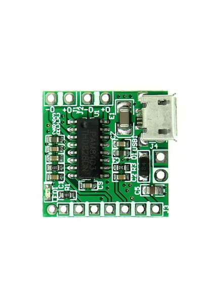 ROBİZ Pam8403 Mini Ses Yükseltici Class D 2x3w Amfi Kartı Micro Usb Beslemeli...