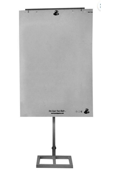 Panda 25 Sheets Flipchart Flip Card Paper in Post Tube 64x90cm