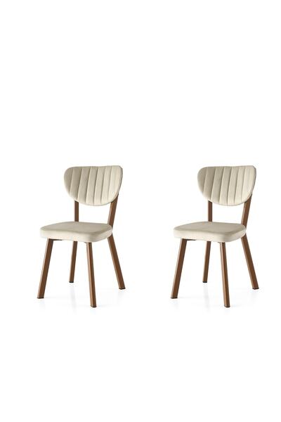 Erezogulları Mobilya Star Demir Mutfak Sandalyesi 2 Li Set