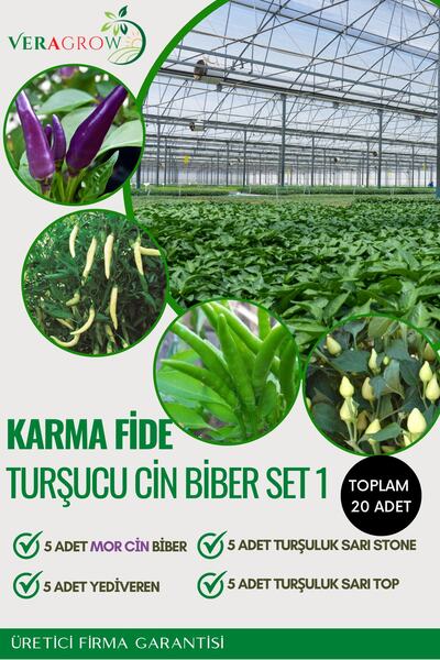 VERAGROW Biolife Fide 20 Adet Karışık Turşuluk Biber Fideleri Hobi Set 1