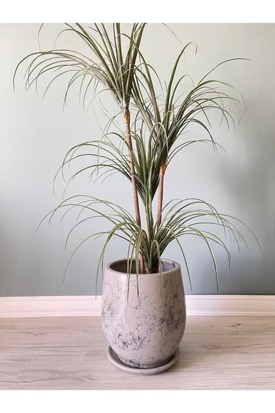 odka 25litre Armut Saksı Tabaklı Yükseklik:32cm Çap:26cm Mia Granit Mermer De...