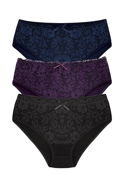 HNX 3-Piece Cotton High Waist Lace Detailed Plus Size Women's Panties