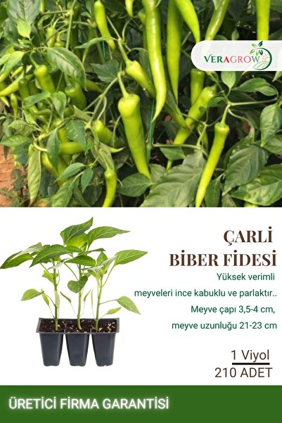 VERAGROW Biolife Fide Çarliston Biber Fidesi 210 Adet Kaliteli Fide
