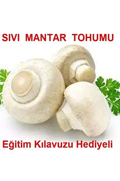 TohumGübre 100 Ml Beyaz Şapkalı Kültür Mantarı Miseli (mantar Tohumu)