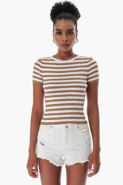 CHUBA Women's Crew Neck Striped Short Sleeve Knitwear T-shirt Tan-white 23s1011