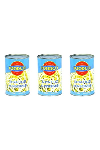 Foodco Soya Filizi 425 gr 3 Adet