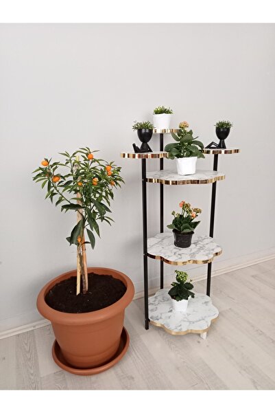 DOGANDEKOR Çiçeklik Sehpa Çiçek Standı