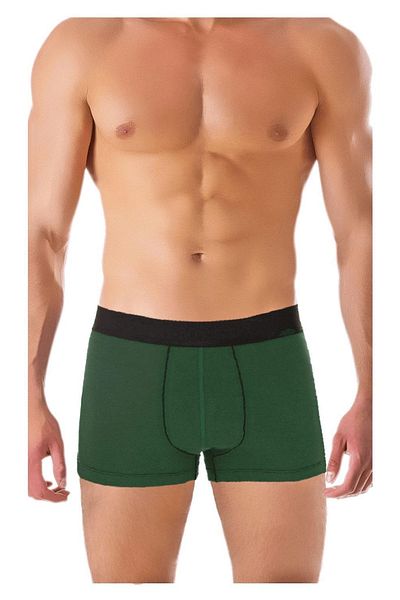TheDon Το Don Bamboo Ανδρικό Boxer Green