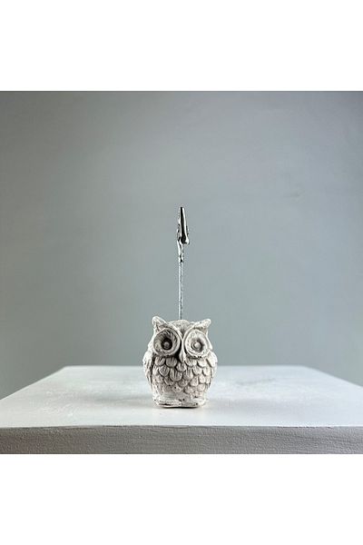 oasis decoration Antique Owl Note Holder