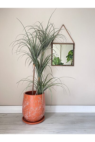 odka 25litre Armut Saksı Tabaklı Yükseklik:32cm Çap:26cm Mia Kiremit Mermer D...