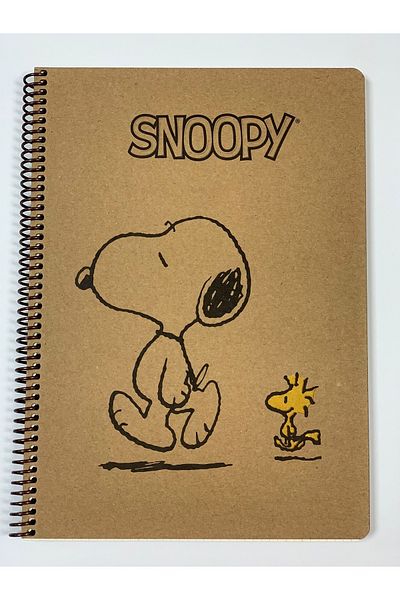 Mynote Snoopy Pattern Kraft A4 100 coli în carouri