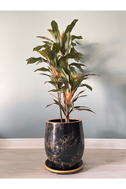 odka 40litre Armut Saksı Tabaklı Yükseklik:40cm Çap:32cm Lily Siyah Gold-beya...