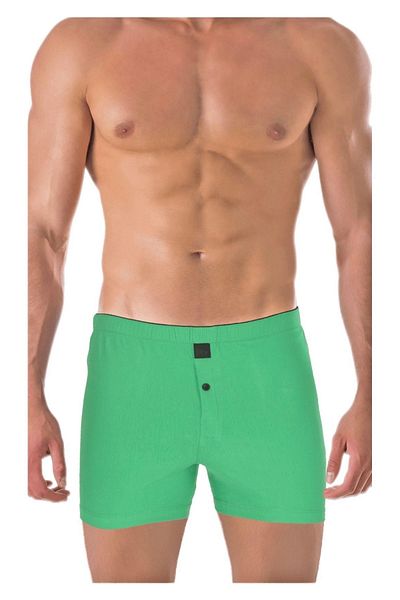 TheDon Ανδρικό μπόξερ Jersey Combed Cotton-Pλεκτό Grass Green