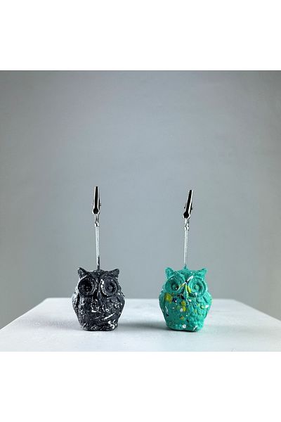 oasis decoration Ice Green Gray Owl 2-Piece Note Holder Set