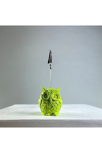 oasis decoration Green Splash Owl Note Holder