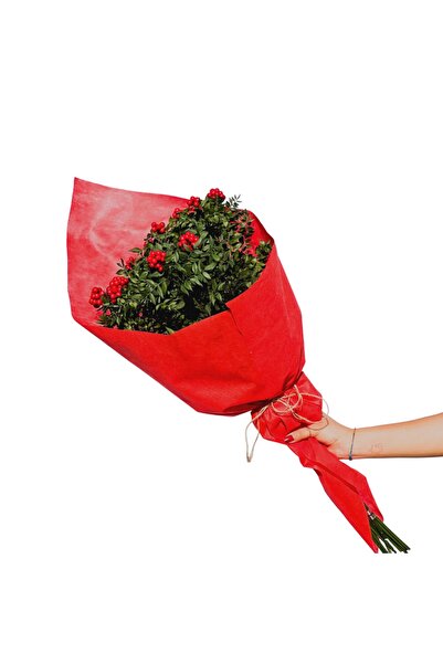 Fidanburada Kokina Yılbaşı Çiçeği Demeti