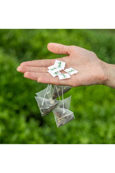LAZİKA (مجموعة من 3) مقرنة خضراء (SPRING-MELISA-OOLONG)