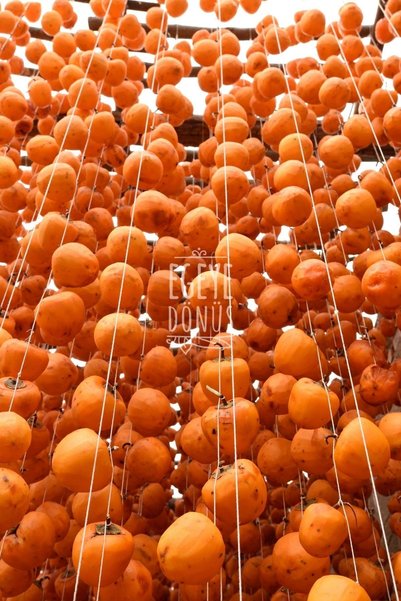 EGEYE DÖNÜŞ 1. Grade Large Size Dried Paradise Persimmon - Dried Trabzon Persimmon - Dried Paradise Apple - 500 Gr.