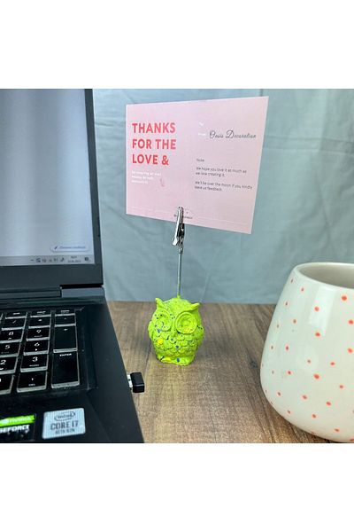 oasis decoration Green Splash Owl Note Holder