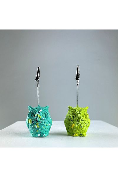 oasis decoration Ice Green Owl 2-Piece Note Holder Set