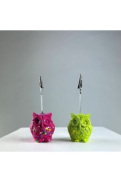 oasis decoration Fuchsia Green Owl 2 Pieces Note Holder Set