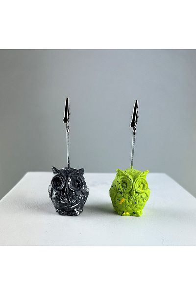 oasis decoration Green Gray Owl 2-Piece Note Holder Set