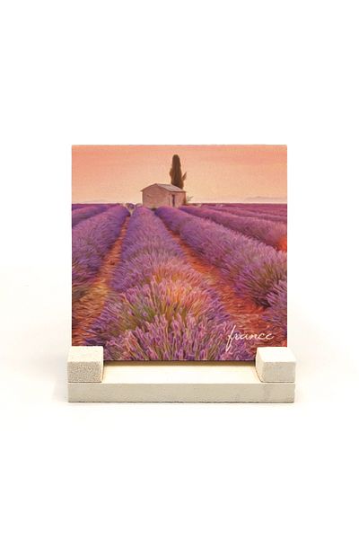 Sadrazam France Visual Printed Natural Stone Tabletop