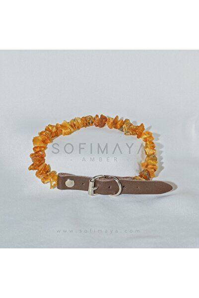 Sofi Maya Kehribar Pire Ve Kene Tasması 30-35 Cm