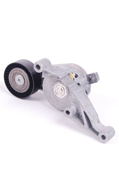 PARLAR Orijinal Vw Cady Kütüklü Alternatör Gergi Rulmanı 03g903315c