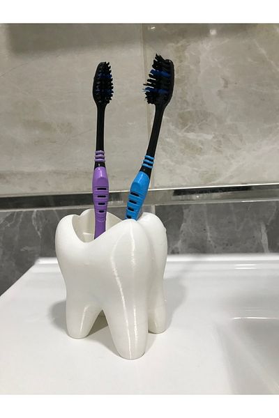 Root Made Tooth-Shaped 4 Compartments Toothbrush Holder Tooth-Shaped Pen Holder