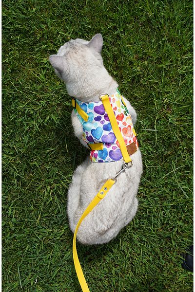 Patipatron Anti-Escape Cat Walking Leash and Small Breed Dog Walking Leash