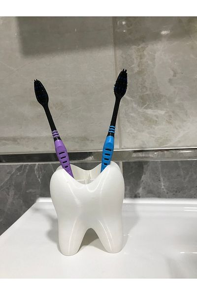 Root Made Tooth-Shaped 4 Compartments Toothbrush Holder Tooth-Shaped Pen Holder