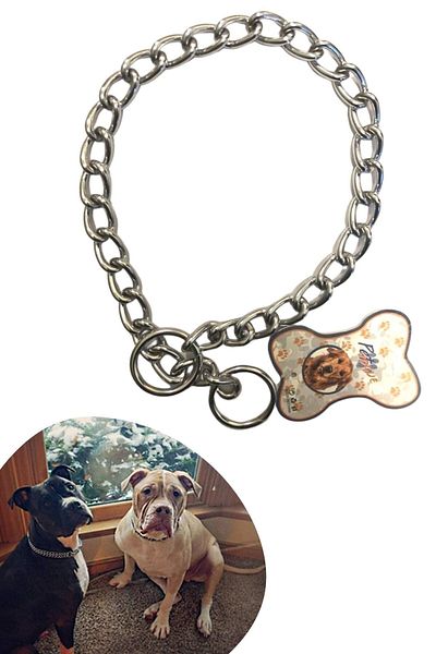 Buffer ® 65 Cm Chain Model Dog - Neck Collar Long