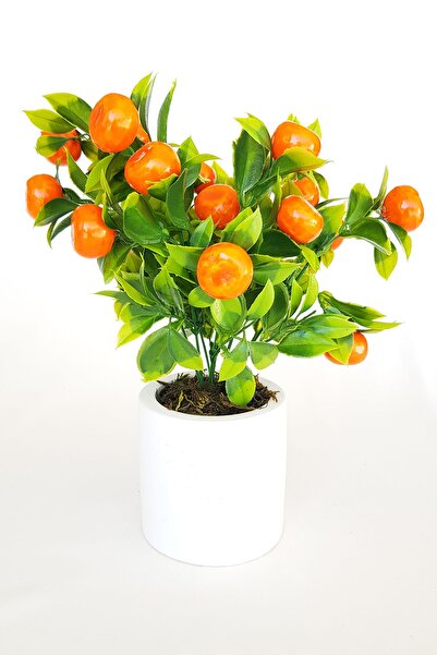 adresiburasi Adresiburası B58b-beton Saksıda Mandalina Ağacı 30 Cm (15 ADET M...