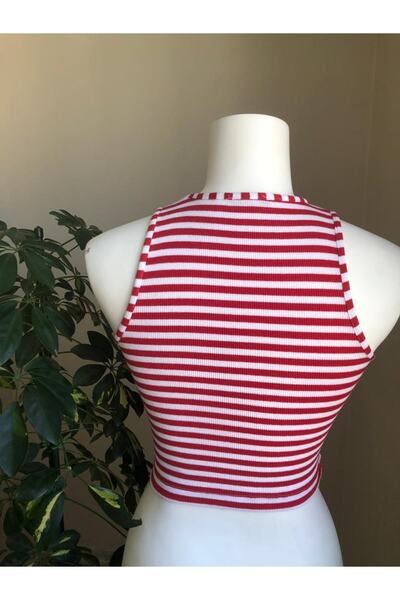 TREND DRESS Sıfır Yaka Crop Bluz