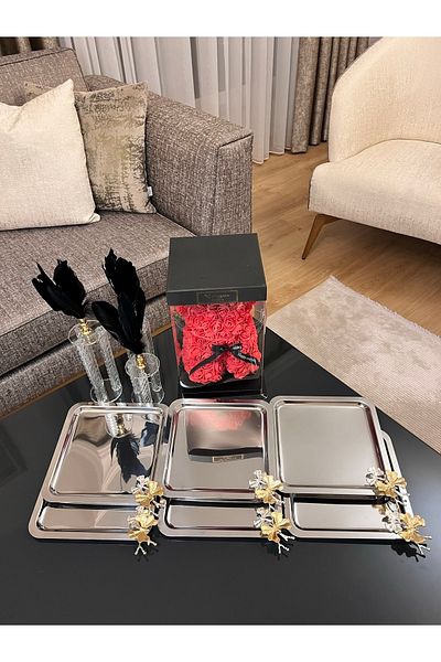 Abant Stainless Steel 6-Piece Silver Color Coffee, Tea Presentation Tray with Luxury Square Butterfly Accessories