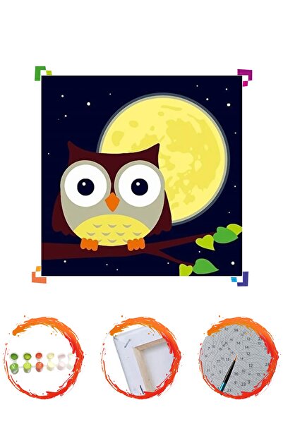 PlusHobby Plus Hobby Bb14 - Baykuş Çocuklar Için Sayılarla Boyama Seti 20x20c...