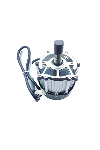 OEM E-bis Elektrikli Kasalı Motosiklet Motoru 72v 1500w 3 Teker